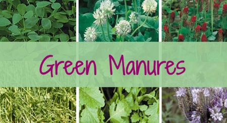Picture for category Green Manures A - Z